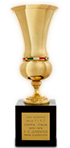 TIM CUP